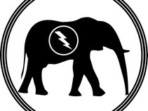 Electric Elephant