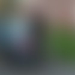 Artist 3973768 1574955403