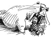 Mister Leroy Stedmund