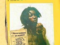 Freddie McGregor