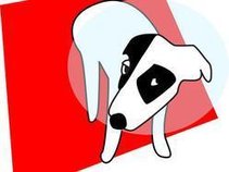 can celik aka underdog