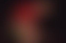 David cook in fort lauderdale 52