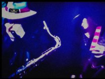 ROCK CROC & BLUES GATOR