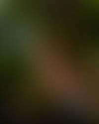 Img 1396 edit watermarkfb 1 