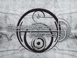 Image for Subcortical Inertia