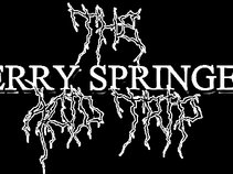 The Jerry Springer Acid Trip