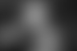 Dominicon michrophone 67 