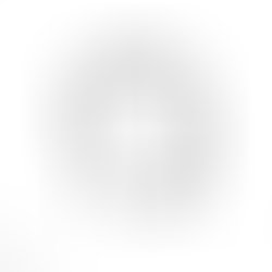 1426352180 negruss logo