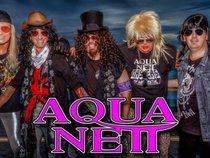 Aqua Nett