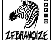 zebranoize