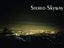 Stereo Skyway (Artist)