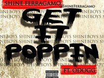 Shine Ferragamo