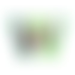 1428097959 img 6863