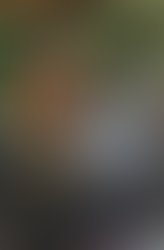 1404602627 steph.6549