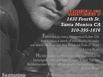 JT Ross Harmonica Boss