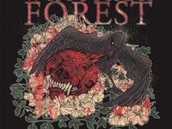 Image for Whitiker Forest