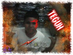 Teguh vexter ciipedaw