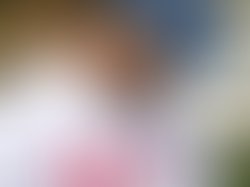 1987ff52 7495 491c a0f9 cfca95bbeaea 579 00000043b3bd277c