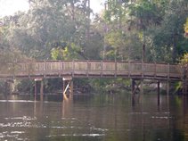 Deep Musical Therapy