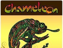 Chameleon