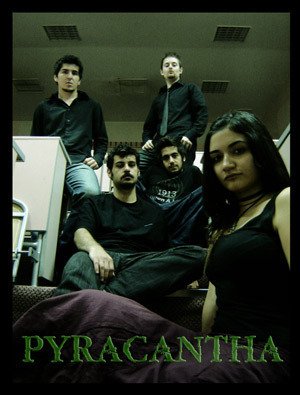 ReverbNation profile picture for @nora