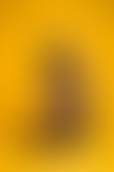 2a6f271d 0dd0 4dd3 a597 5ffdea18d5ea