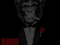 Lab Monkey