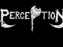 Perception