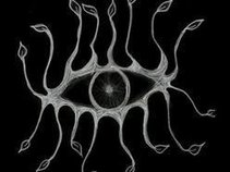 XVI Eyes