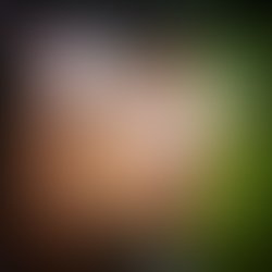 Artist 4064476 1500010578