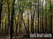 Dark Heart Alarm