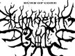 burn of core(b.o.c)