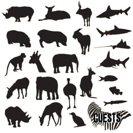 ReverbNation profile picture for @guests