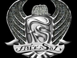 Image for Freesol