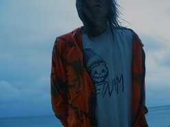 Image for The Lemonheads