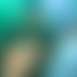 1443382224 artist 408379 1443382177