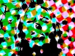 FLOYD PINK AND THE PUNKS aka STEVEN VELLOU HORNE & PETER HARDING