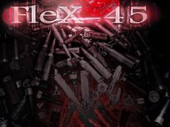 Flex 45