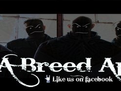 Image for A Breed Apart