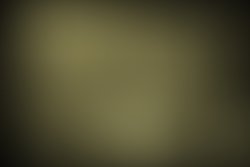 1397814715 artist 4101719 1397814565