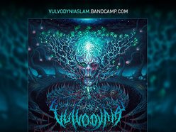 Image for Vulvodynia