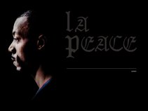 lapeace313