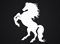 Image for Darkhorse