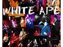 White Ape