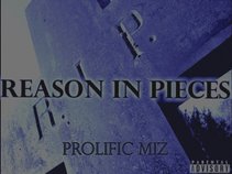 Prolific Miz Music