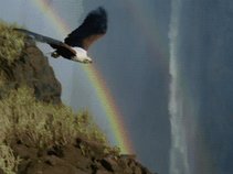Freebird