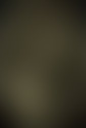Website option