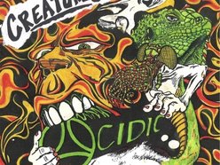 Image for ACIDIC