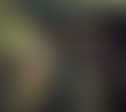 1449584627 pic 17crop