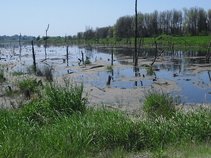 Louie the Boogie Man Original Blues&Boogie Music